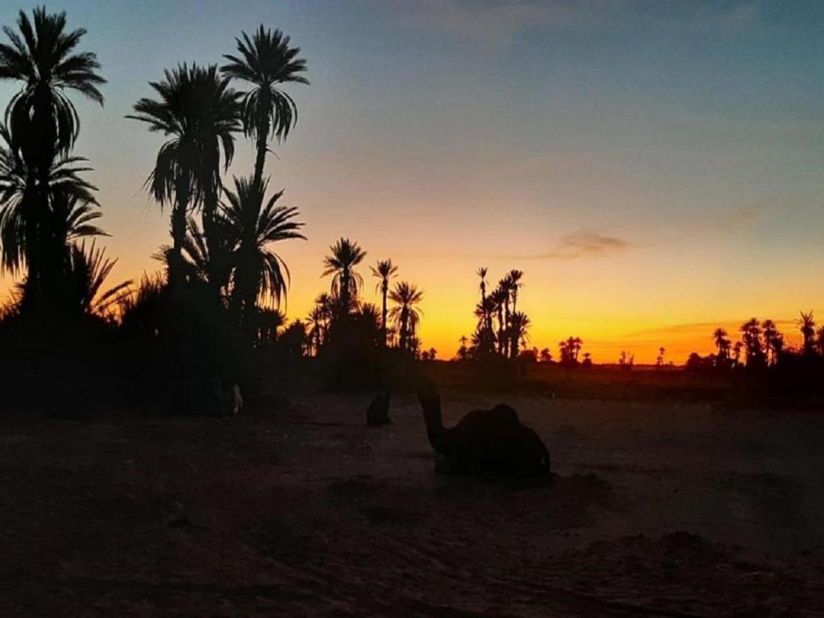 M'Hamid Desert Camp Tours Exterior foto
